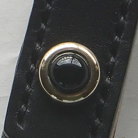 記念モデルの写真