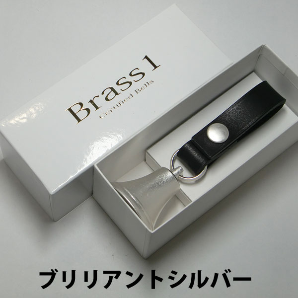 カノンのブリリアントシルバーの画像