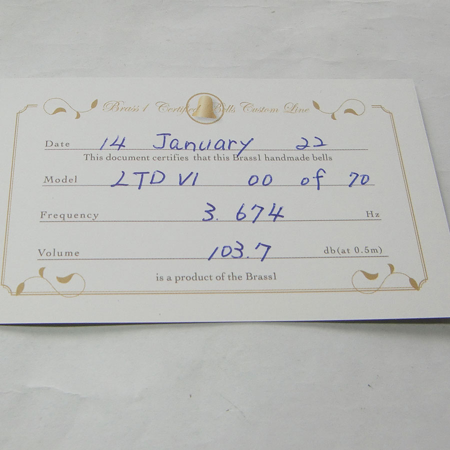 リミテッド6の検査表の画像