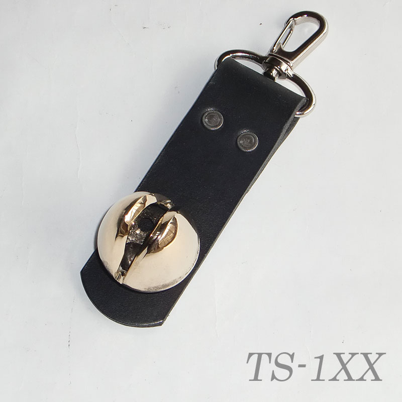 ts-1のモデル画像