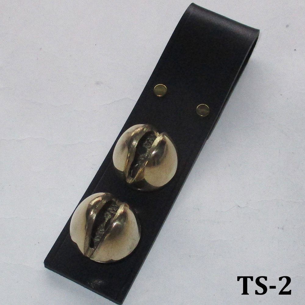 ts-2のモデル画像