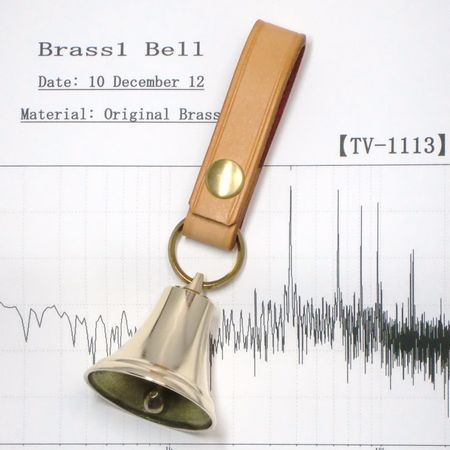 tv-1113FFT解析の画像